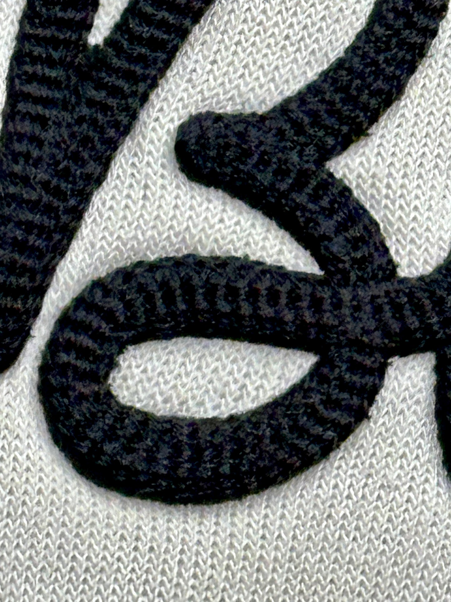 TAMPA BAY DANCE ACADEMY CREW NECK - Front & Back Design Details